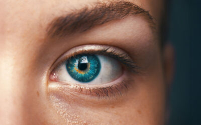 KI-Faktencheck: So vermeidest du Halluzinationen