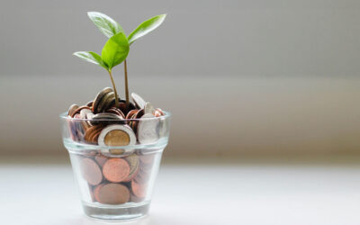 Bis zu 1.750 € geschenkt: Warum du dir diese Förderung jetzt sichern solltest
